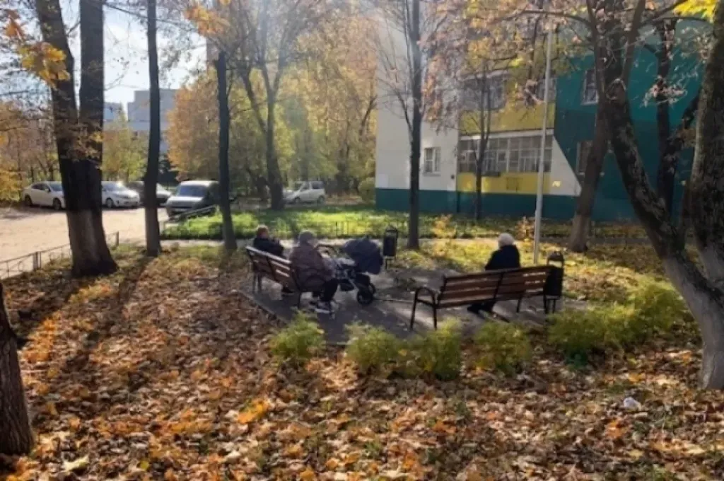 182 бабушки и 91 дедушка получают в Заполярье пособие по уходу за внуками